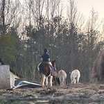 William Shelby Kittrell - @clipped_08 - Instagram