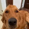 Will Klein - @will.klein - TikTok