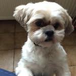 Willie Klein Hemmink - @williekleinhemmink - Instagram