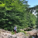 Will Kline - @willydakline - Instagram