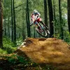 William KNOTT - @willyyyyy6942 - TikTok