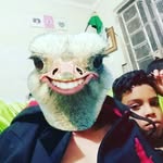 William Koch - @koch.wk - Instagram