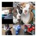 Willie Koch - Facebook