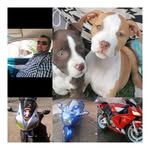 Willie Koch - @kochwillie - Instagram