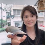 Willie Kong - @willie.811 - Instagram