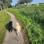 Willie Kramer - @williedeboerkramer - Instagram