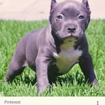 willie_lamar_woods - @williewoods85 - Instagram