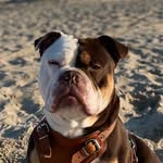 willie lamars - @willielamars - Instagram