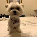Willie Larson - @canir19138 - Instagram