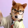 Will lucky - @2266will - TikTok
