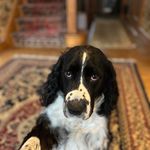 William Luster - @billluster60 - Instagram