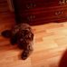 Willie Mallory - Facebook