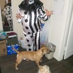 Willie Marble - @marble_willie - Instagram