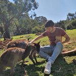 Will McCall - @will_mc.call - Instagram
