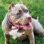 Willie McClain - @willie.mcclain.3950 - Instagram