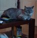 Willie McClendon - Facebook