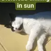 William Mckay - @william.mckay98 - TikTok