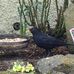 Willie McKay - Facebook