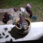 Willie Merrill - @a2_willie - Instagram