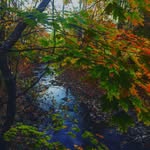 William Milsap-Thomas - @wdmtphotography - Instagram