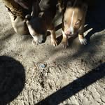 Willie Milsap - @milsapw - Instagram