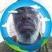 Willie Minick - Facebook