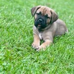 Willie Nance - @nancewillie - Instagram