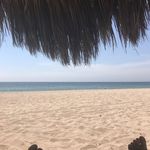 Willie Nunez - @wlnunez - Instagram