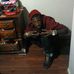Willie Palmer - Facebook