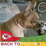 Willie Palmer - @williepalmer9219 - Instagram