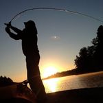 Willie Parsons - @willie.parsons - Instagram