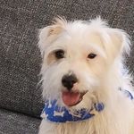 Willie The Parson - @willie_the_parson - Instagram