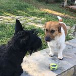 Willie&Pepe - @willie_e_pepe - Instagram
