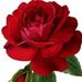 Willie Pham - Facebook