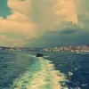 williepierce - @williepierce - TikTok