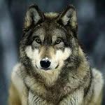 Will Pike - @will.pike.946 - Instagram