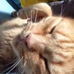 Willie - @pokemonwillielego - Instagram
