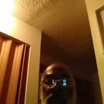 willieponder - @willieponder4279 - Instagram