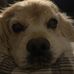 Willie Powers - Facebook