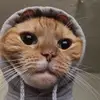 williemae pyle - @williemae.pyle - TikTok