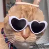 williequeenie82 - @williequeenie82 - TikTok
