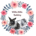 The Willie Nillie Rabbitry - @the_willie_nillie_rabbitry - Instagram