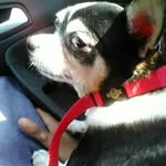 william rabb - @rabbwilliam - Instagram