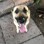 Will Ransom - @ransom851 - Instagram