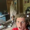 Willie Rapp - @willie.r13 - TikTok