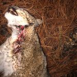 Willie Ratcliffe - @willieratcliffe750 - Instagram