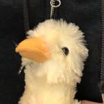 William Ricks - @williamricks2626 - Instagram