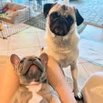 Willie and Rigby - @willie_n_riggs - Instagram