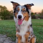 Willie (Nelson) Riggs - @willie_riggs_ - Instagram
