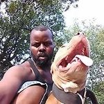 Willie Riley - @willieriley6679 - Instagram